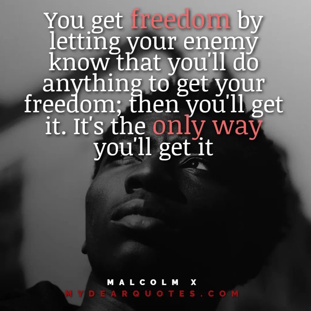 quotations malcolm x