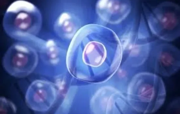 How FFPE Tissue is Advancing Precision Medicine Worldwide