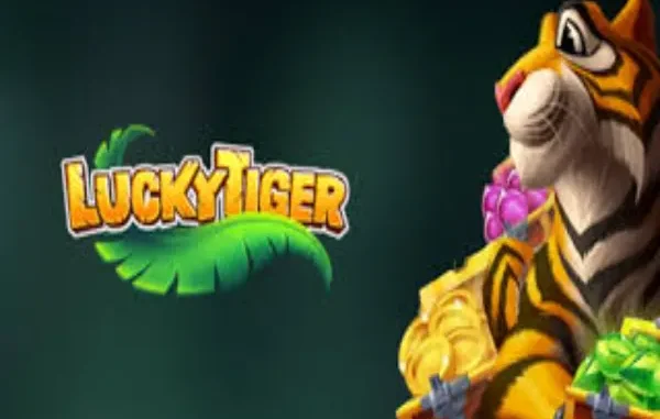 How to Play Games at Lucky Tiger Casino in Australia?