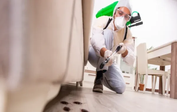 How Same-Day Exterminators in Charlotte Handle Urgent Infestations