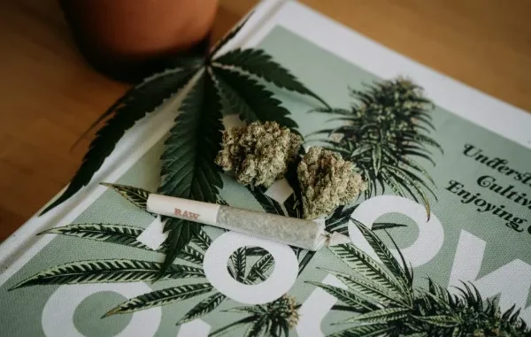 The Ultimate Guide to Choosing the Right Cannabis Dispensary