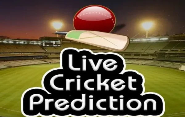 What Makes Dream Fantasy Cricket So Popular Among Online Players?