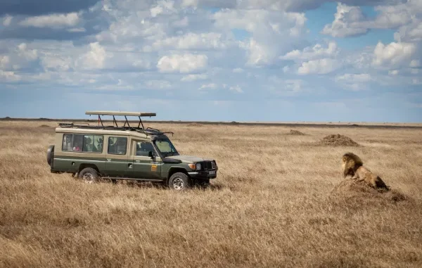 Are Tanzania Safari Tours Overpriced? What Travelers Should Know